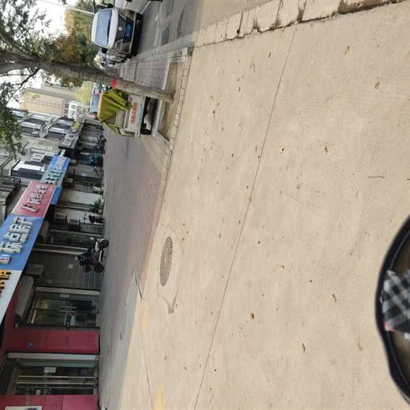 风铃宠物:邢台市信都区莲池大街附近