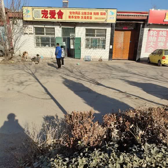 宠爱舍:邢台市任泽区任泽区附近