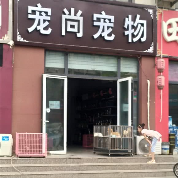宠尚宠物:邢台市任泽区任泽区附近