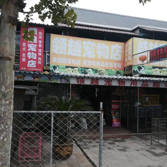 领越宠物店:唐山市开平区