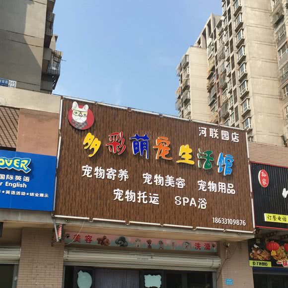 多彩的萌宠生活馆:唐山市开平区