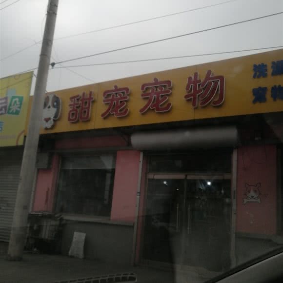甜宠宠物:唐山市丰南区