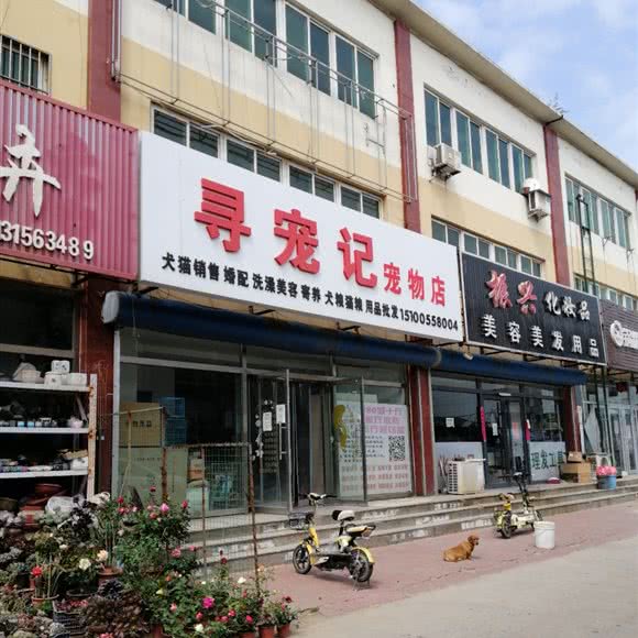 寻宠记宠物店:唐山市滦南县