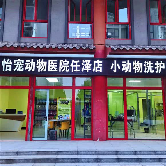 怡宠动物医院(任县店):邢台市任泽区任泽区附近