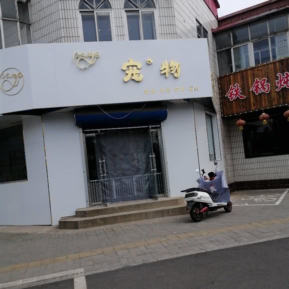 宠物洗澡美容:唐山市乐亭县