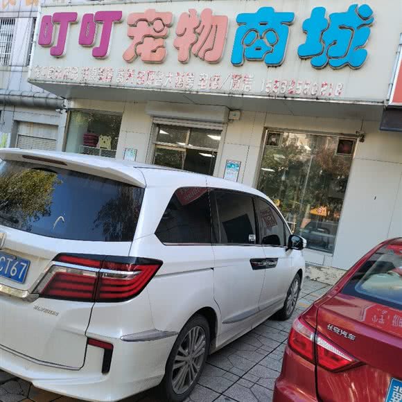 叮叮宠物商城:唐山市遵化市