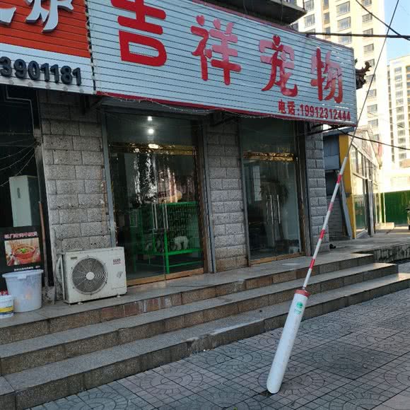 吉祥宠物:唐山市遵化市