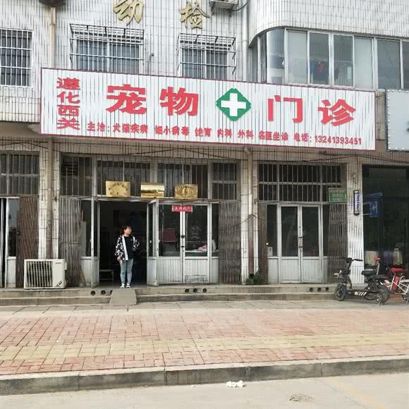 动物防治医院:唐山市遵化市