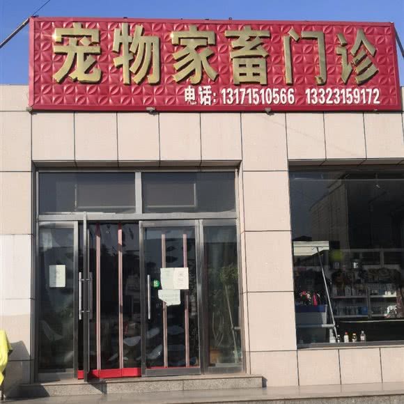 宠物家畜门诊:唐山市迁安市