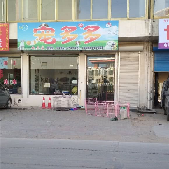 宠多多(榆关店):秦皇岛市抚宁区