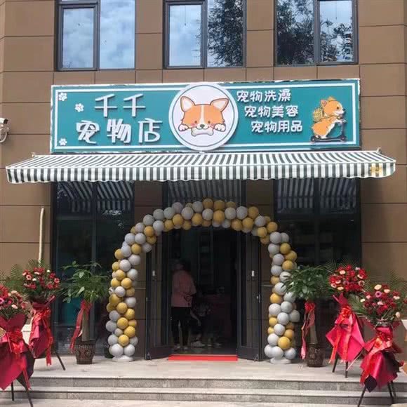 千千宠物店:邯郸市丛台区