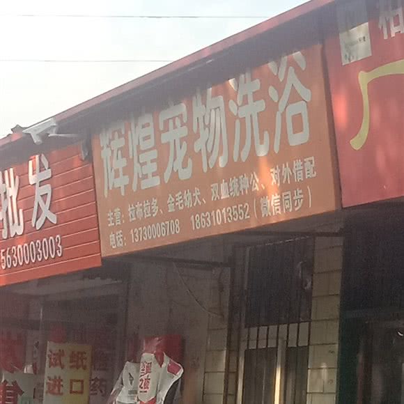 辉煌宠物洗浴:邯郸市丛台区