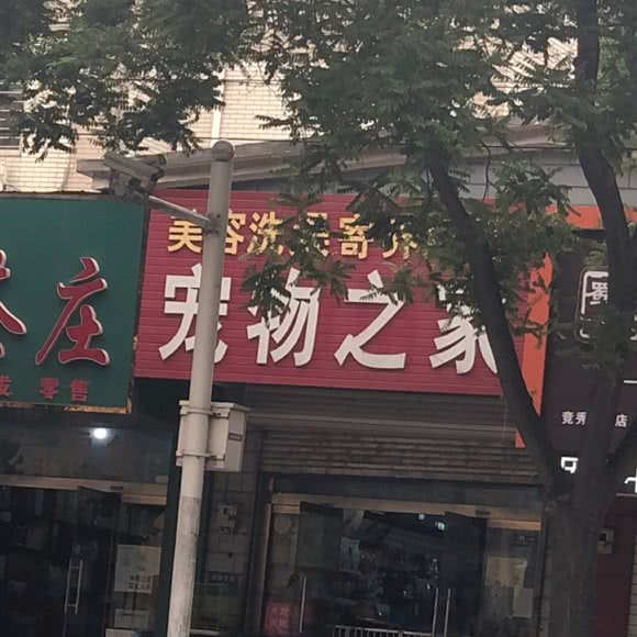 宠物之家(向阳北大街店):保定市竞秀区万博/竞秀附近