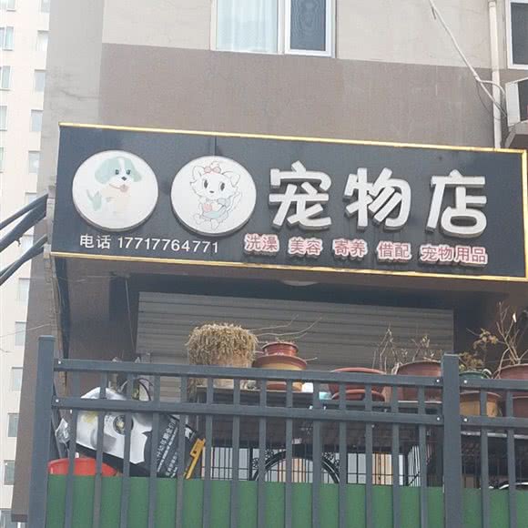 当狗爱上猫宠物店:邯郸市复兴区