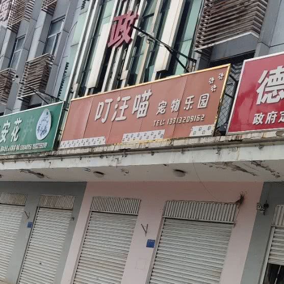 叮汪喵宠物乐园:邯郸市肥乡区