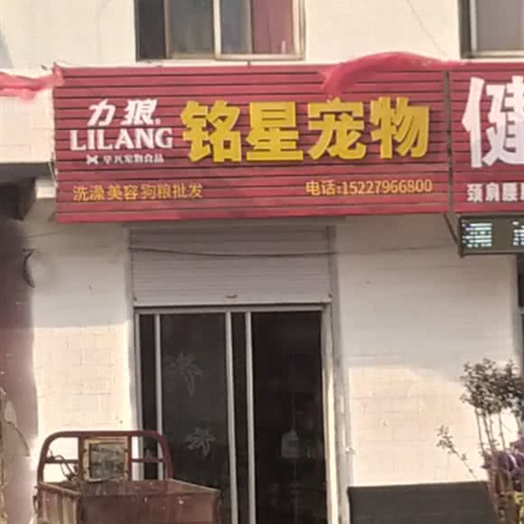力狼铭星宠物:邯郸市永年区