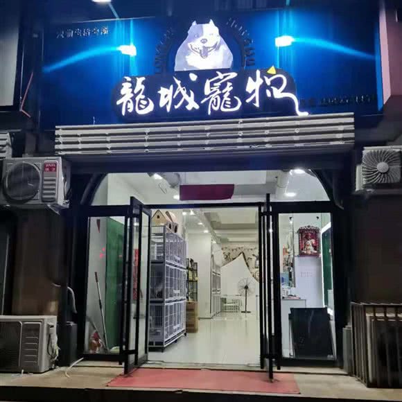 龙城宠物:邯郸市涉县