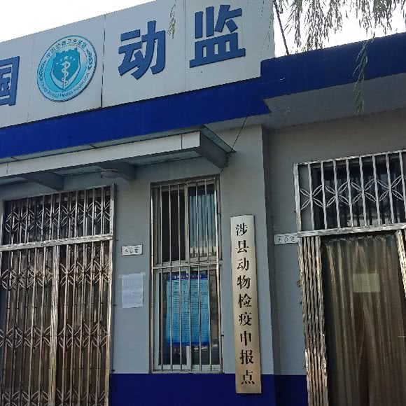涉县动物检疫申报点:邯郸市涉县