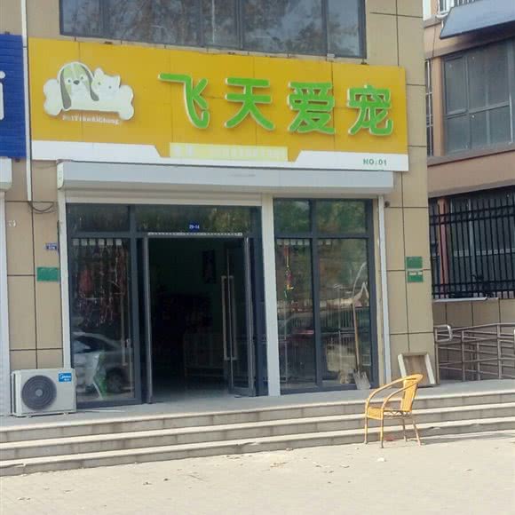 飞天爱宠:邯郸市广平县