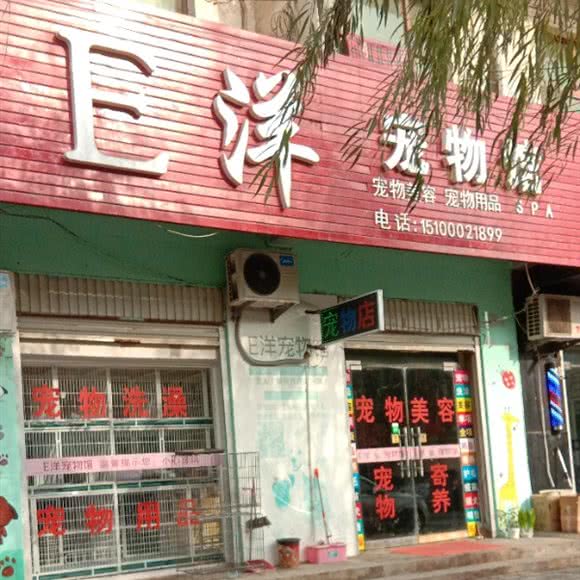 E洋宠物馆:邯郸市魏县