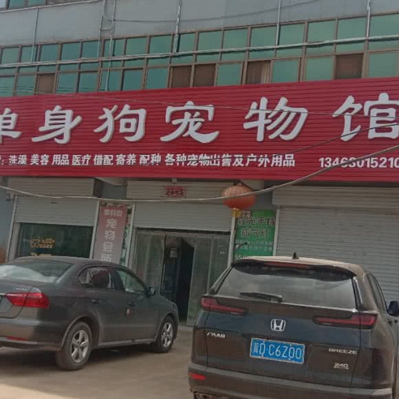 单身狗宠物馆:邯郸市魏县