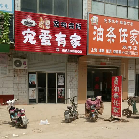 柯派宠爱有家:邯郸市魏县