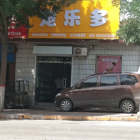 宠乐多:邯郸市武安市