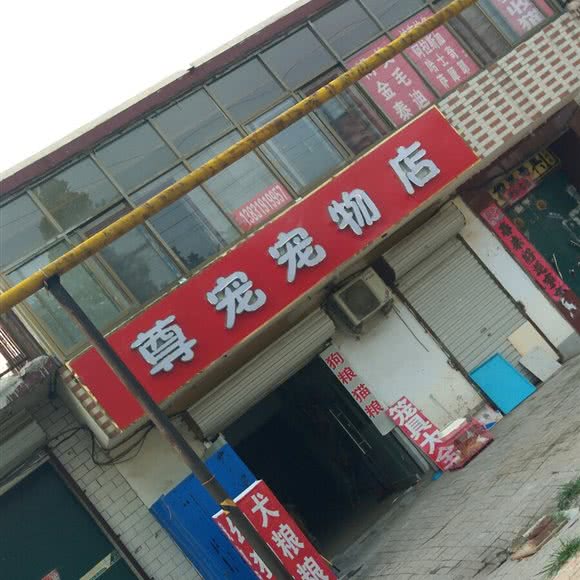 尊宠宠物店:邢台市襄都区