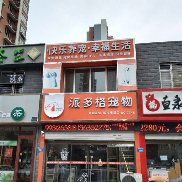 派多格宠物(城市美居店):保定市竞秀区乐凯大街附近