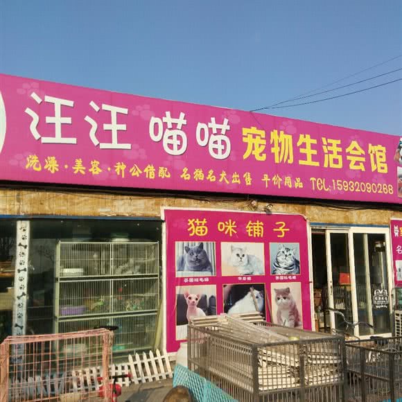 汪汪喵喵宠物生活会馆:邢台市襄都区