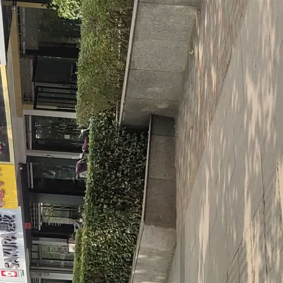 非宠勿扰:邢台市信都区