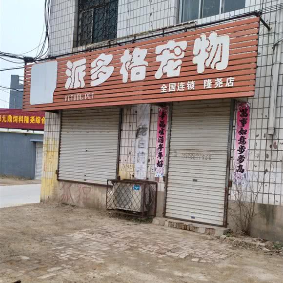 派多格宠物(隆尧店):邢台市隆尧县