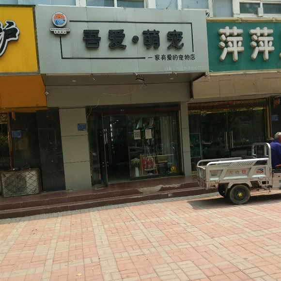 吾爱萌宠:邢台市隆尧县