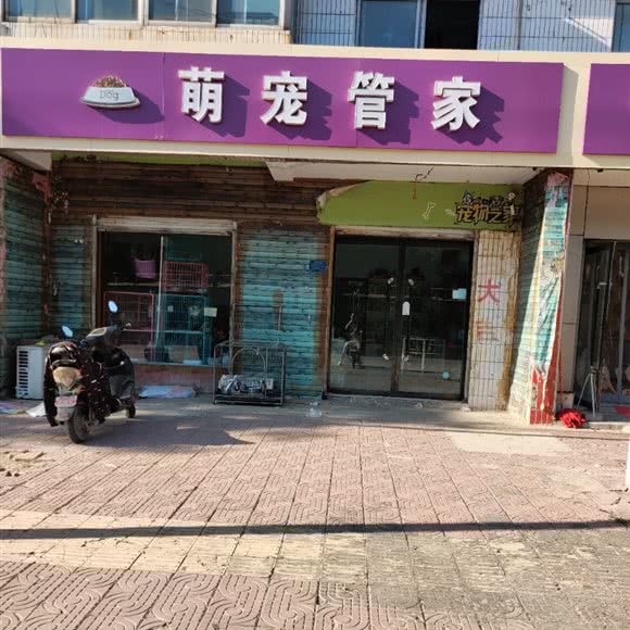 萌宠管家:邢台市沙河市
