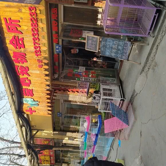 爱心宠物会所:保定市莲池区