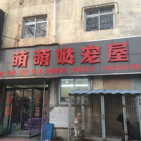 萌萌哒宠屋:保定市莲池区