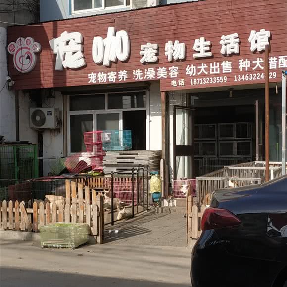 熙萌宠物宠咖宠物生活馆:保定市莲池区