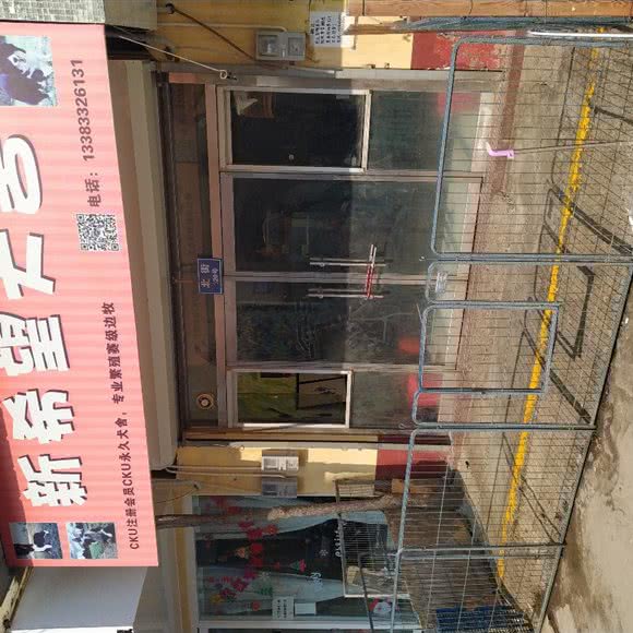 新希望犬舍:保定市莲池区