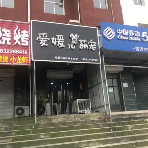 爱媛儿萌宠:保定市清苑区