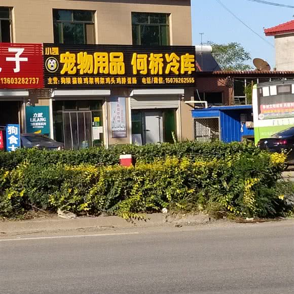 小凯宠物用品何桥冷库:保定市清苑区