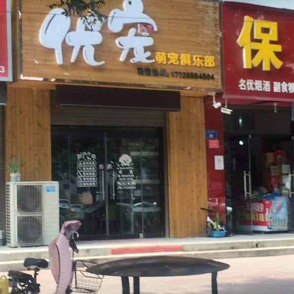 优宠萌宠俱乐部:保定市徐水区