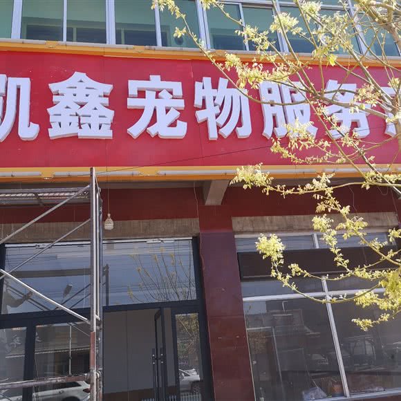 凯鑫宠物服务店:保定市涞水县