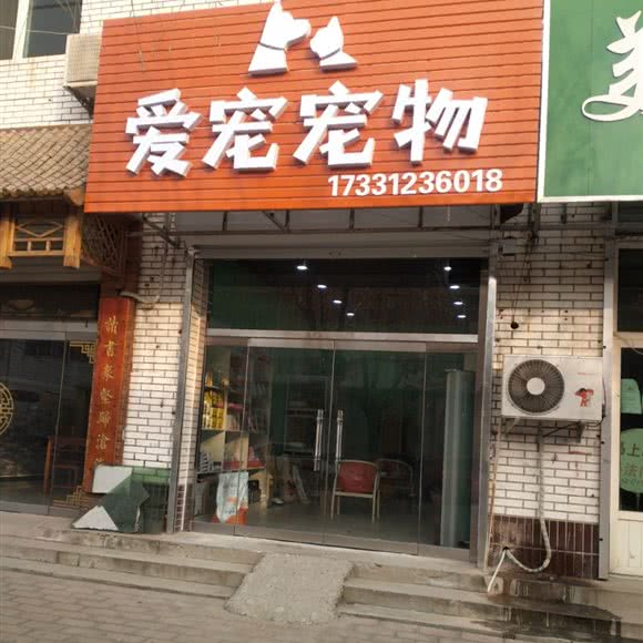 爱宠宠物:保定市定兴县
