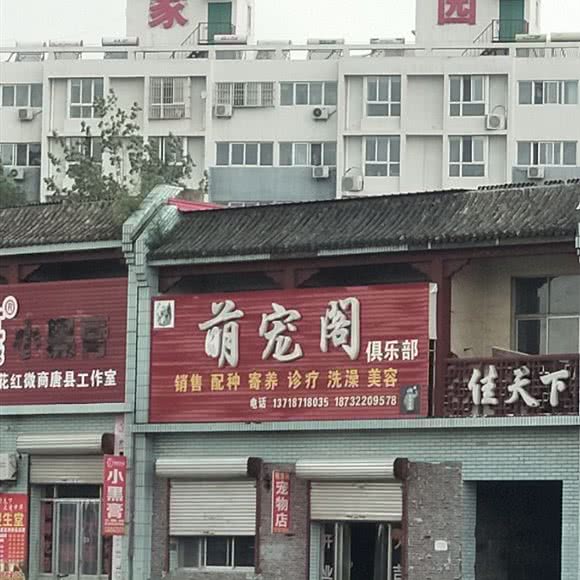 萌宠阁宠物店:保定市唐县