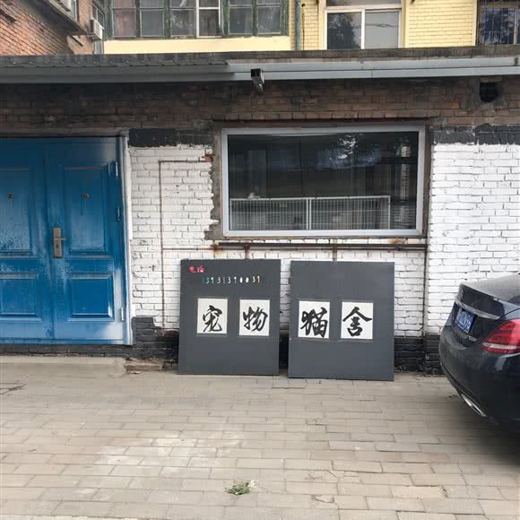 宠物猫舍:保定市竞秀区乐凯小学附近