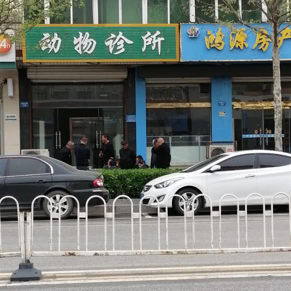 动物诊所:保定市唐县