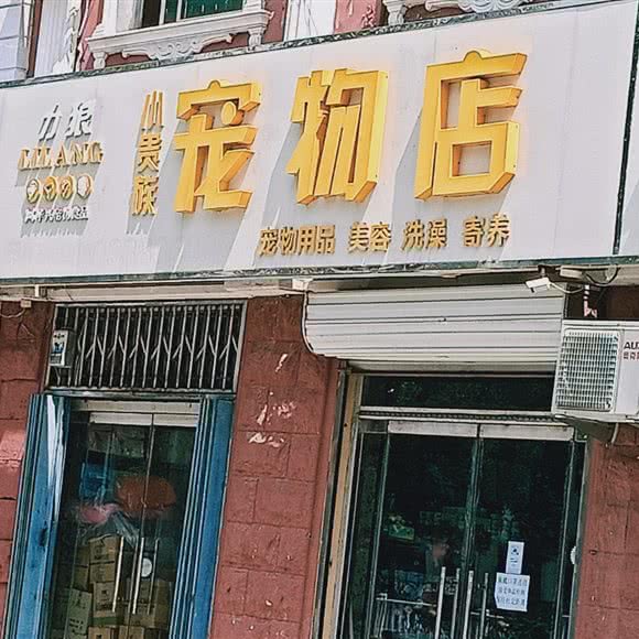 小贵族宠物店:保定市高阳县