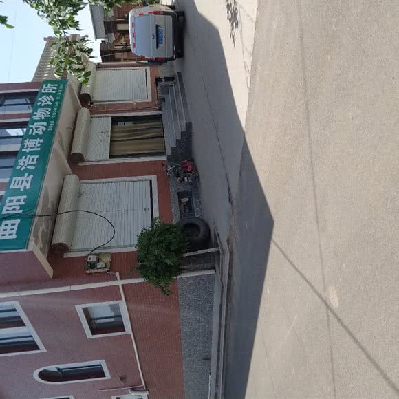 曲阳县浩博动物诊所:保定市曲阳县