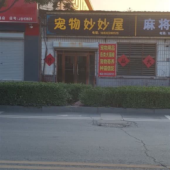 宠物妙妙屋:保定市蠡县