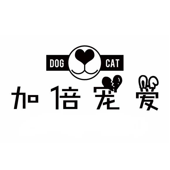 加倍宠爱:保定市莲池区美术中学附近